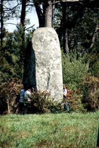 Menhir v lese nedaleko Carnacu